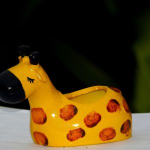 Plant Potters 6