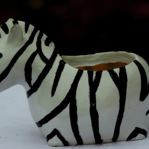 Plant Potters 1