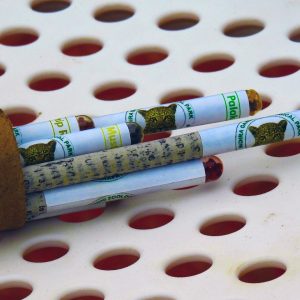 Seed Pencils